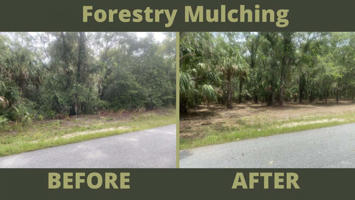 before and after photo of forestry mulching